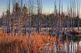 Marsh At Sunrise_10778-9